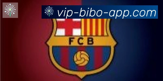 必博bibo官网体育合作伙伴