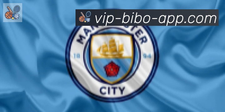 必博bibo官网体育合作伙伴